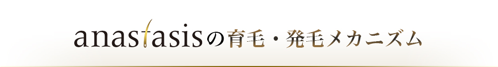 anastasis 育毛・発毛メカニズム