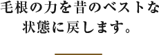 毛根の力を昔のベストな 状態に戻します。